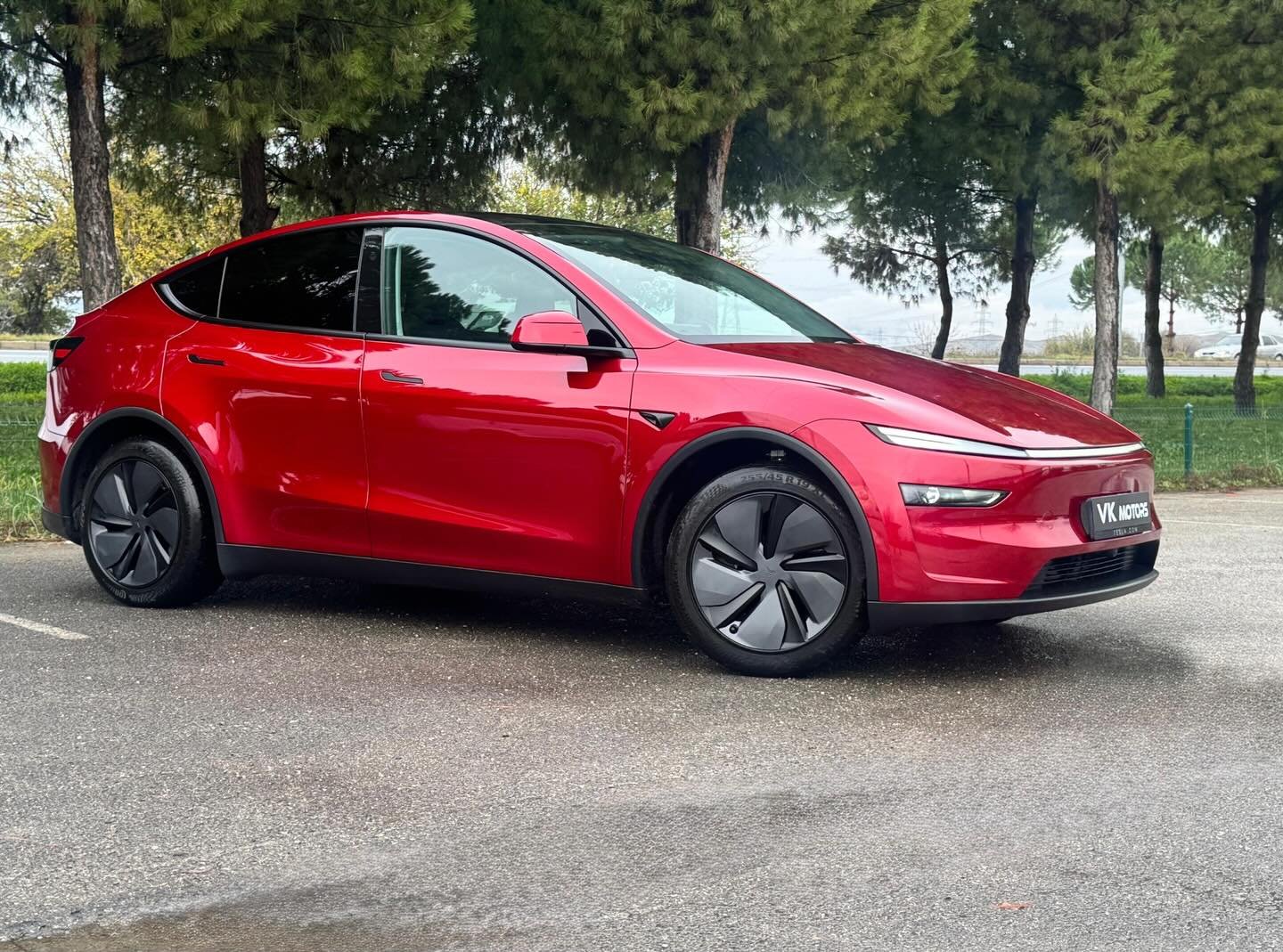 Tesla Model Y Standard yan profil